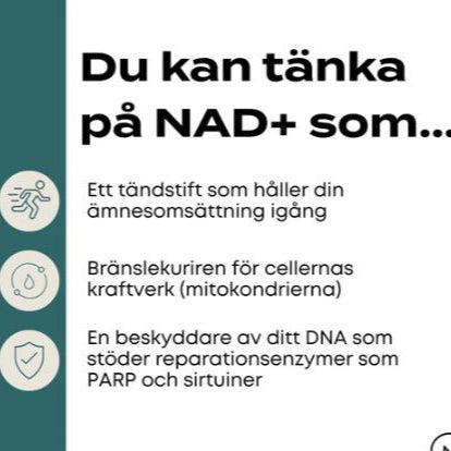 NAD Kosttillskott (NR) - Kapslar