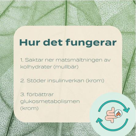 Glukos Support - Kapslar